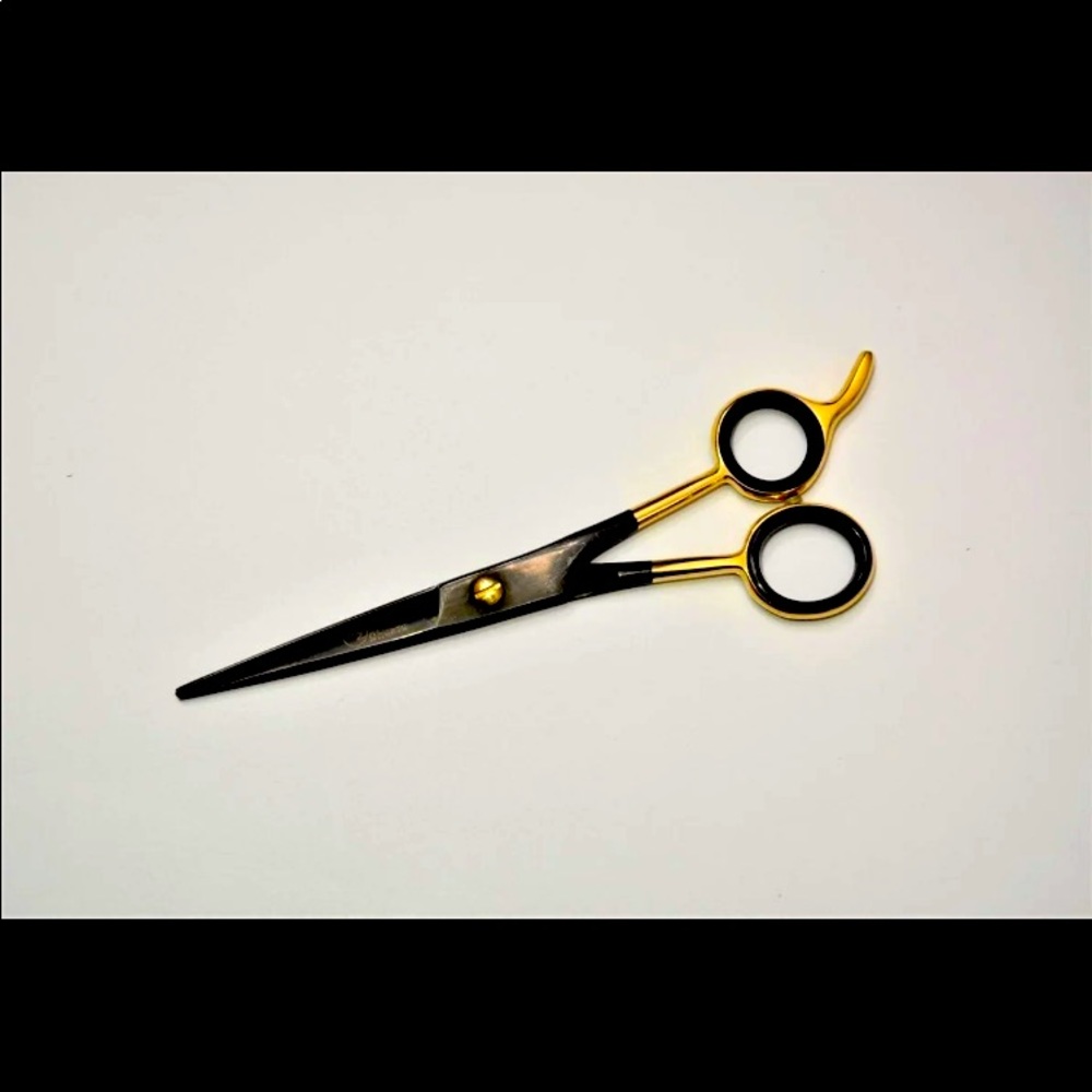 Professional Salon Shears
